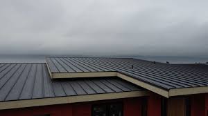 Best Solar Panel Roofing Installation  in Green Village, NJ